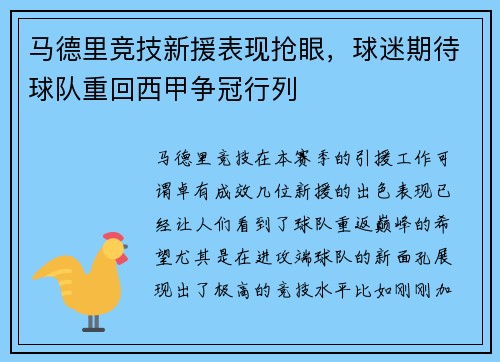 马德里竞技新援表现抢眼，球迷期待球队重回西甲争冠行列